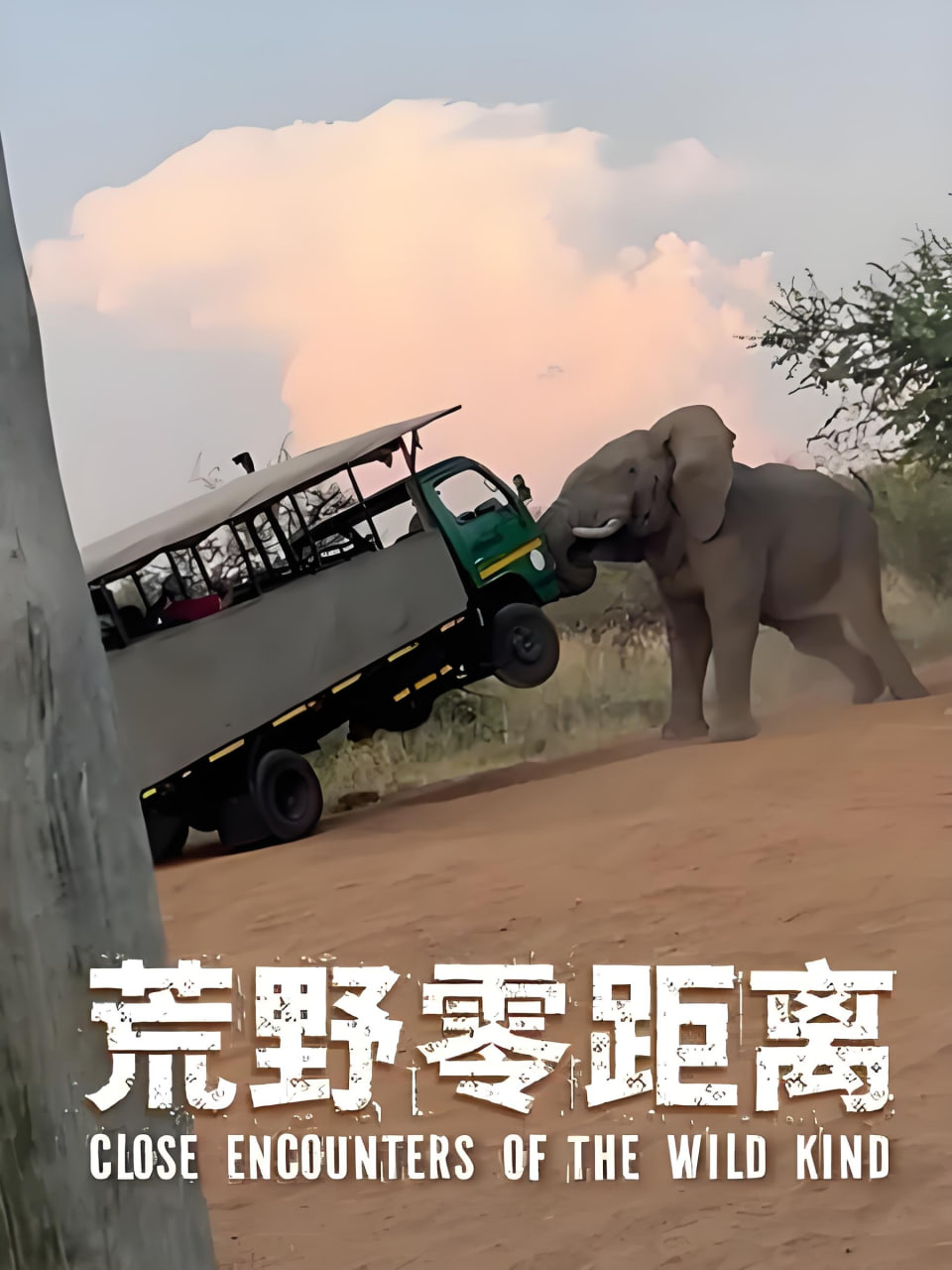 头脑特工队3